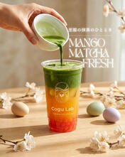 mango matcha fresh mango matcha fresh